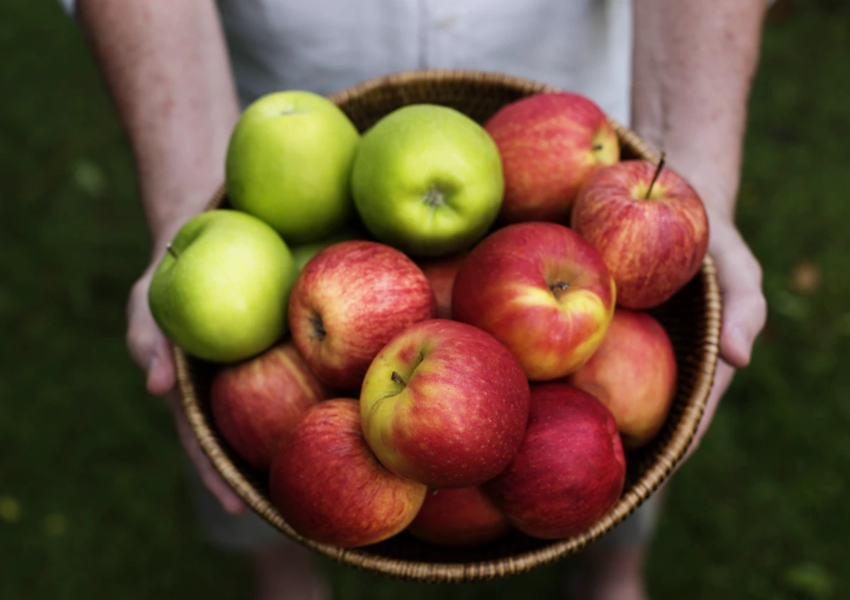 Apples are High in Fiber